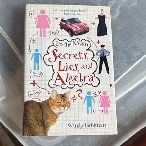 Secrets, Lies, and Algebra Book